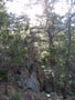 rocks on the ridge.jpg